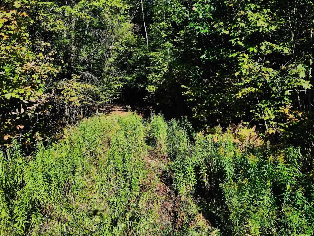 0 Jericho Street Hartford VT 05001