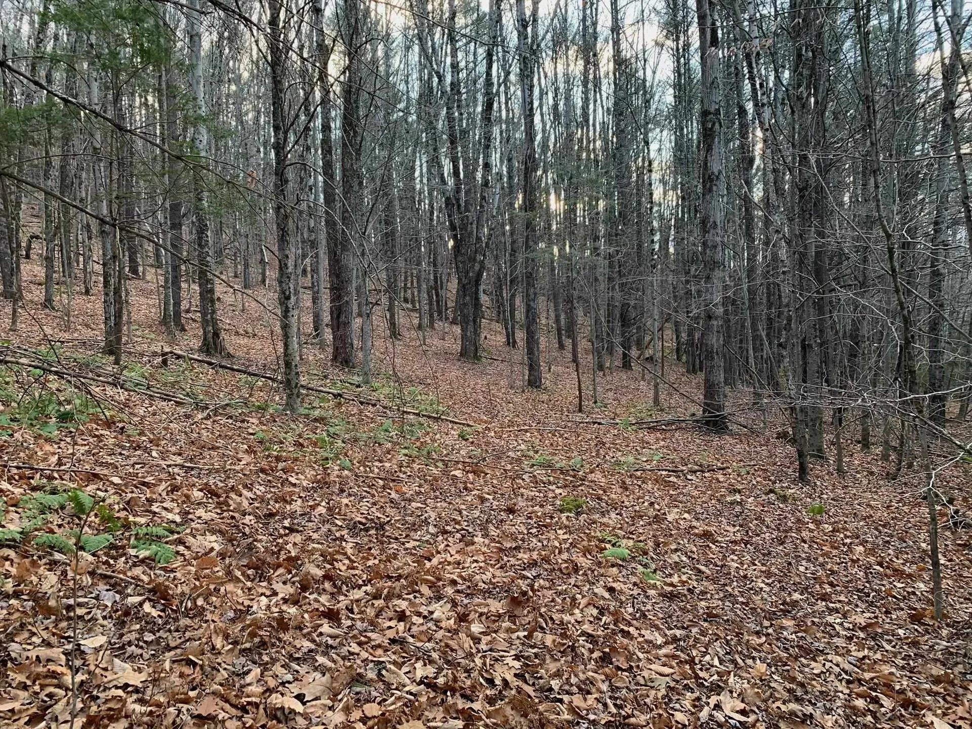 0 Jericho Street Hartford VT 05001