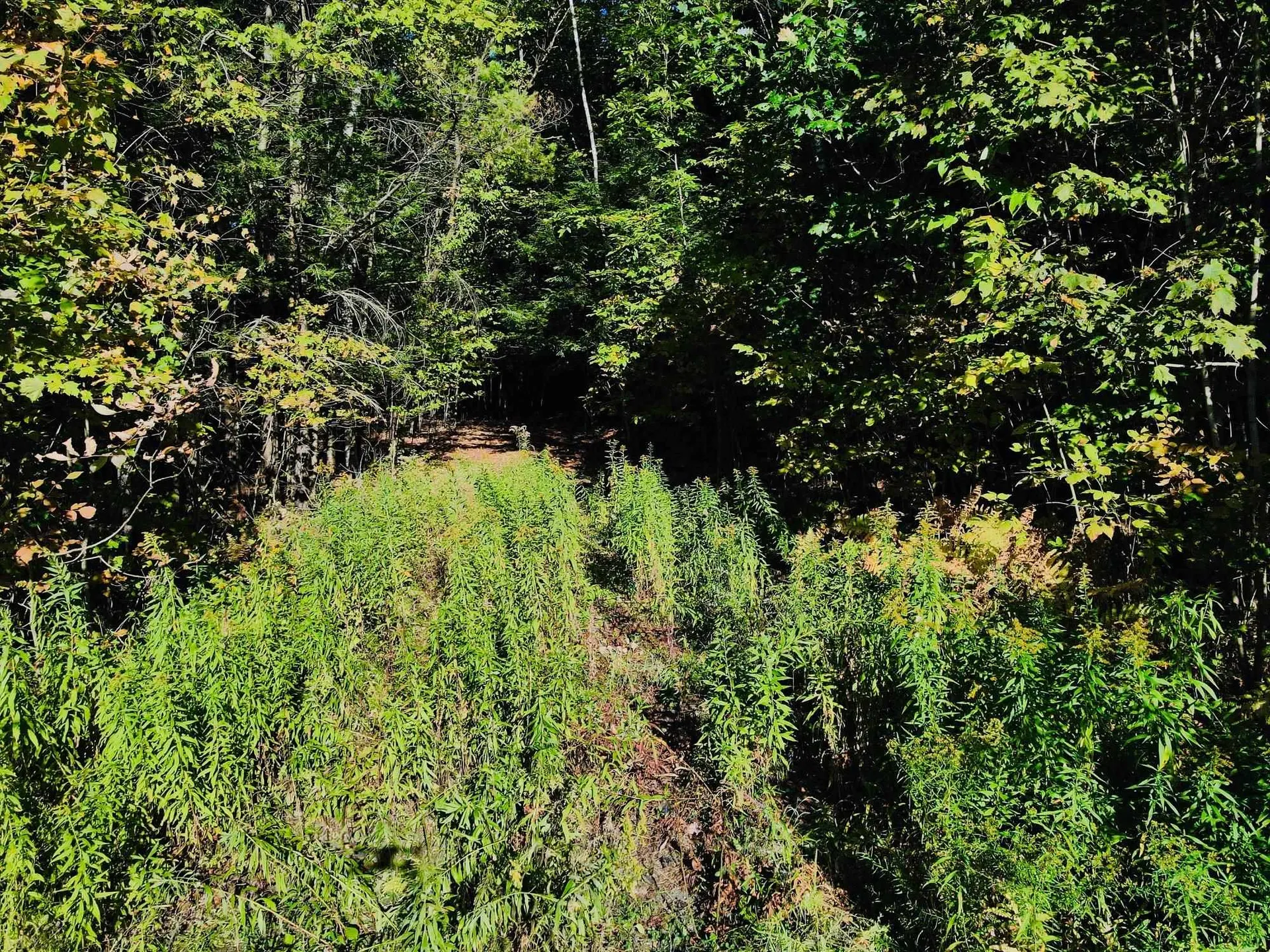 0 Jericho Street Hartford VT 05001