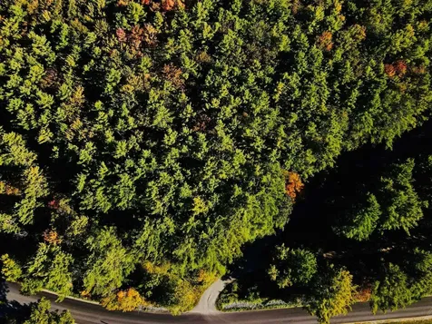 0 Jericho Street Hartford VT 05001