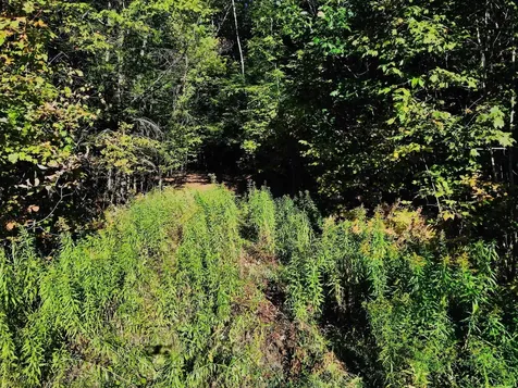 0 Jericho Street Hartford VT 05001