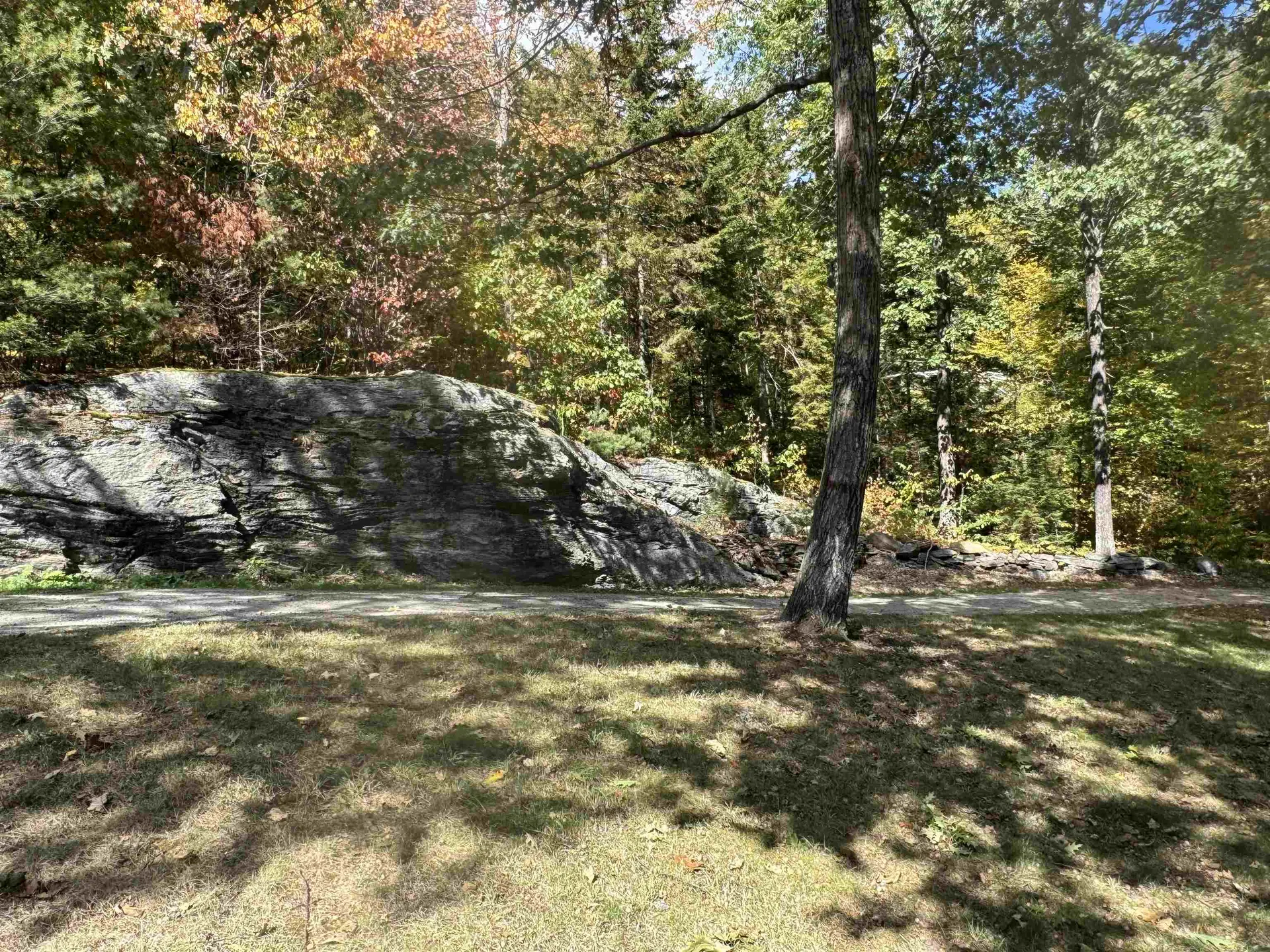 803 Malagash Road Reading VT 05062