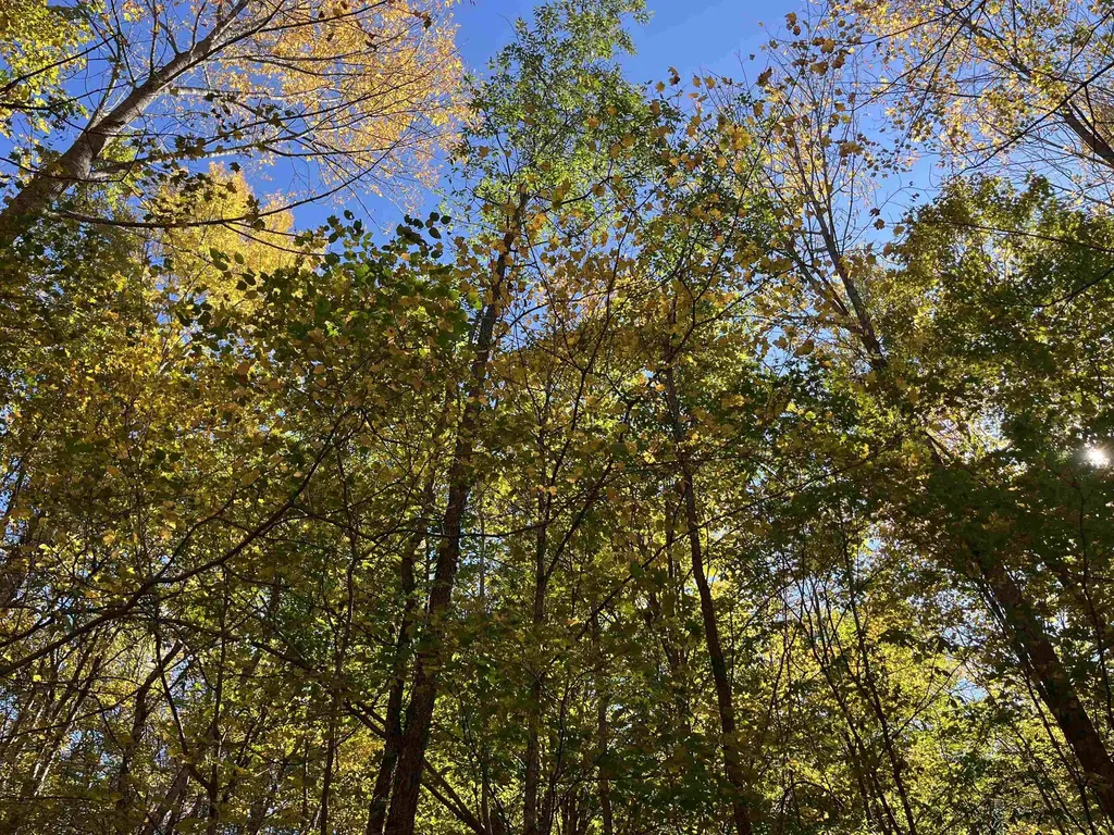 0 Leonard Road Pomfret VT 05067