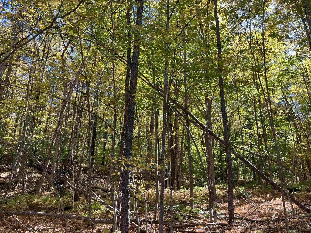 0 Leonard Road Pomfret VT 05067