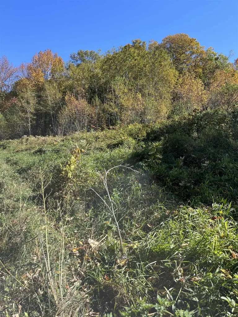 0 Leonard Road Pomfret VT 05067