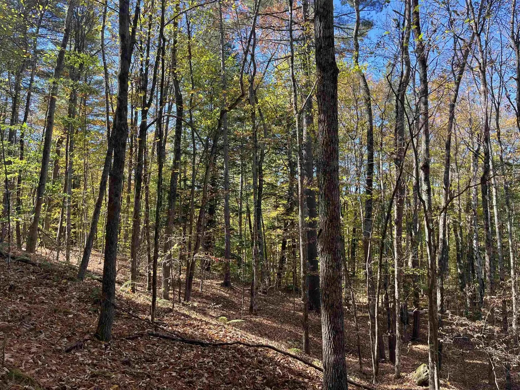 0 Leonard Road Pomfret VT 05067