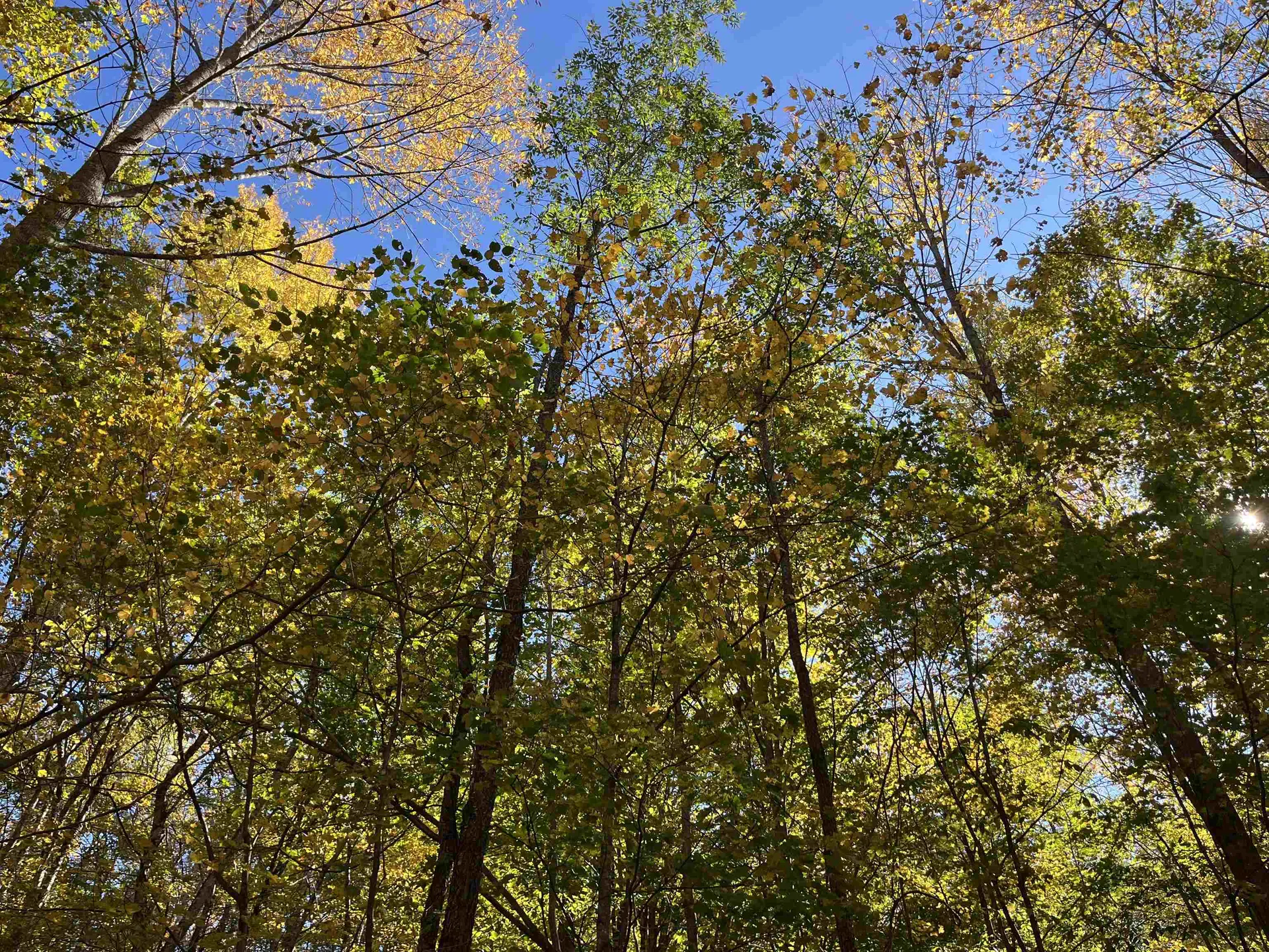 0 Leonard Road Pomfret VT 05067