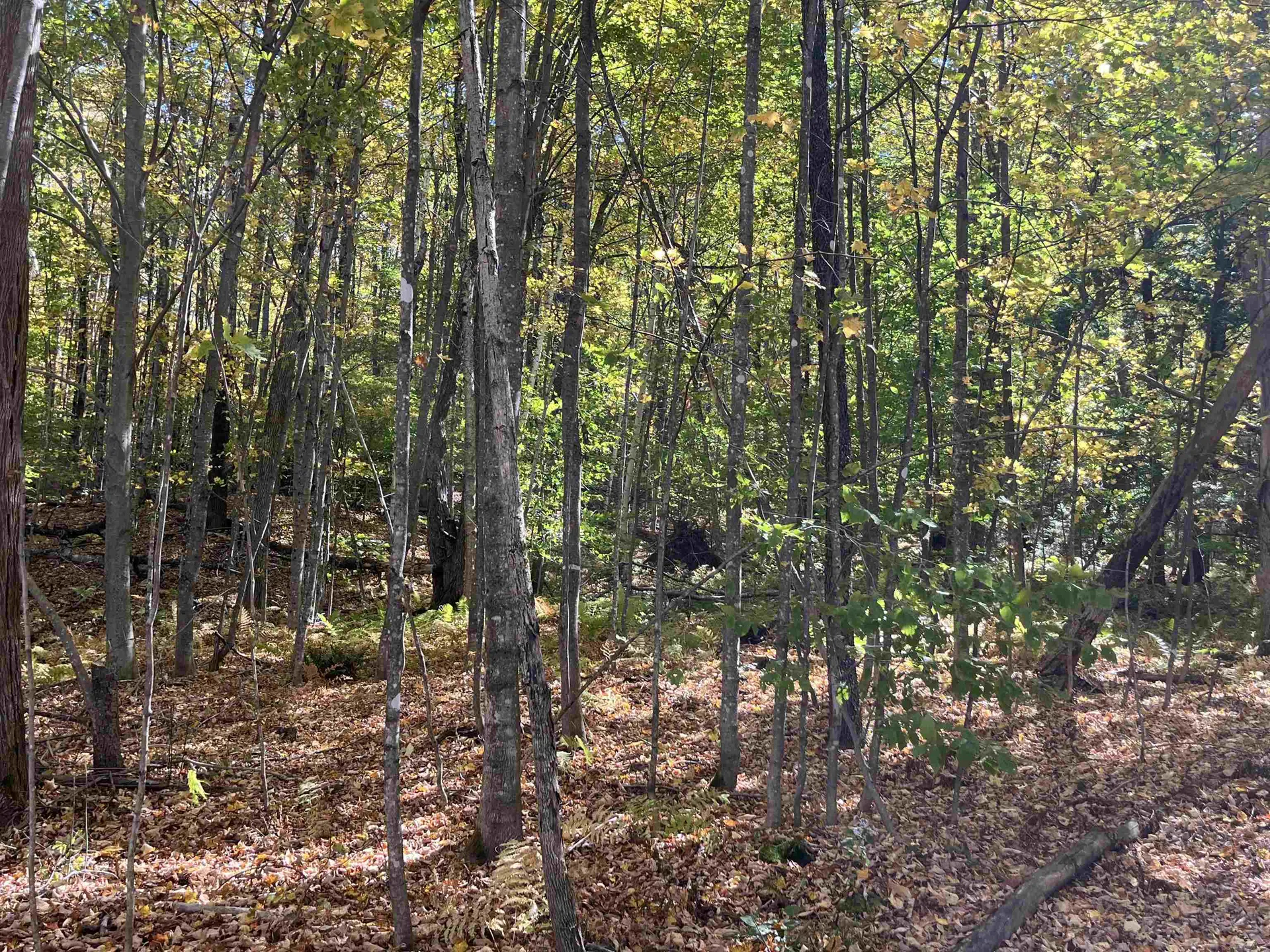 0 Leonard Road Pomfret VT 05067