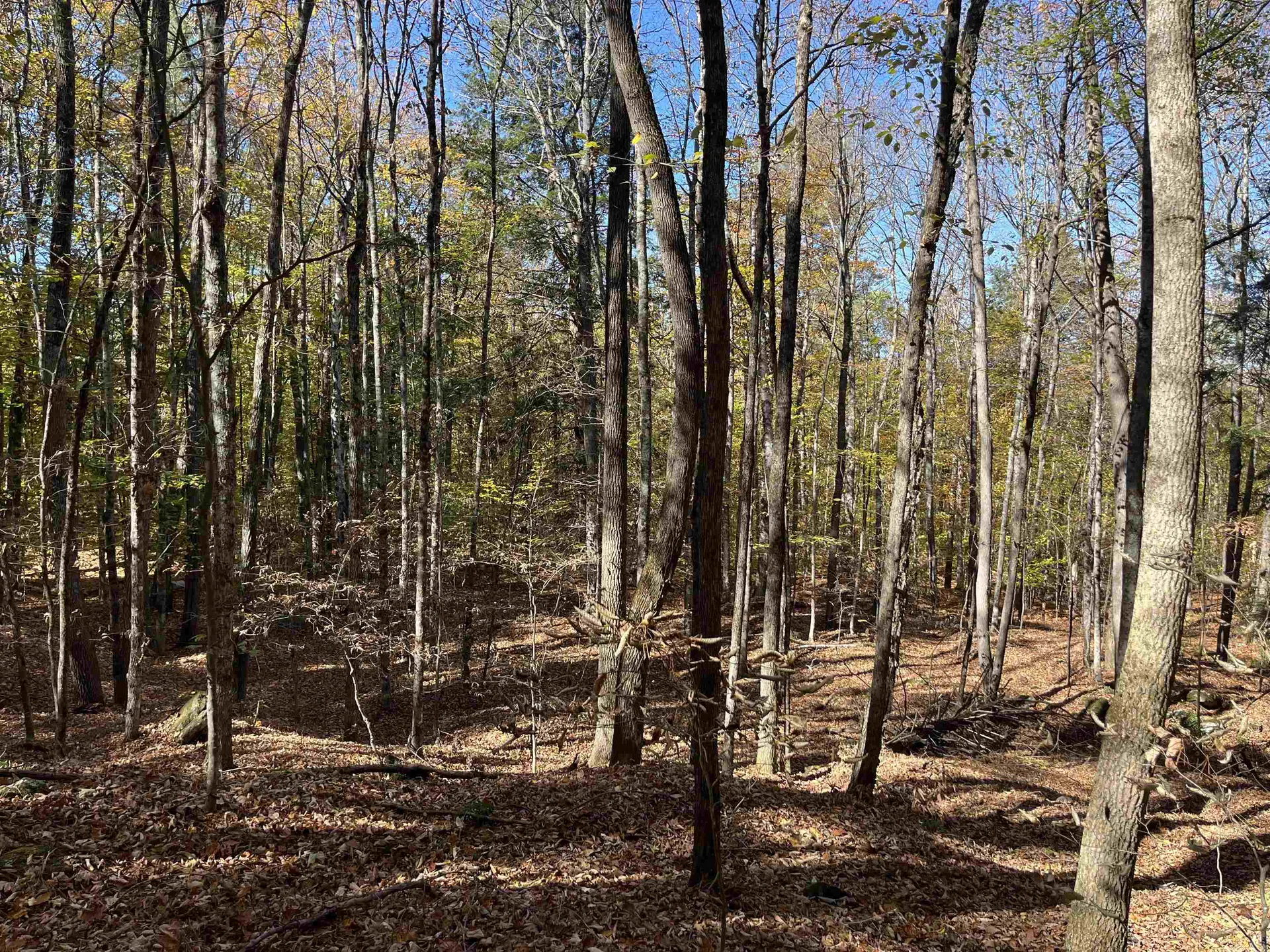 0 Leonard Road Pomfret VT 05067