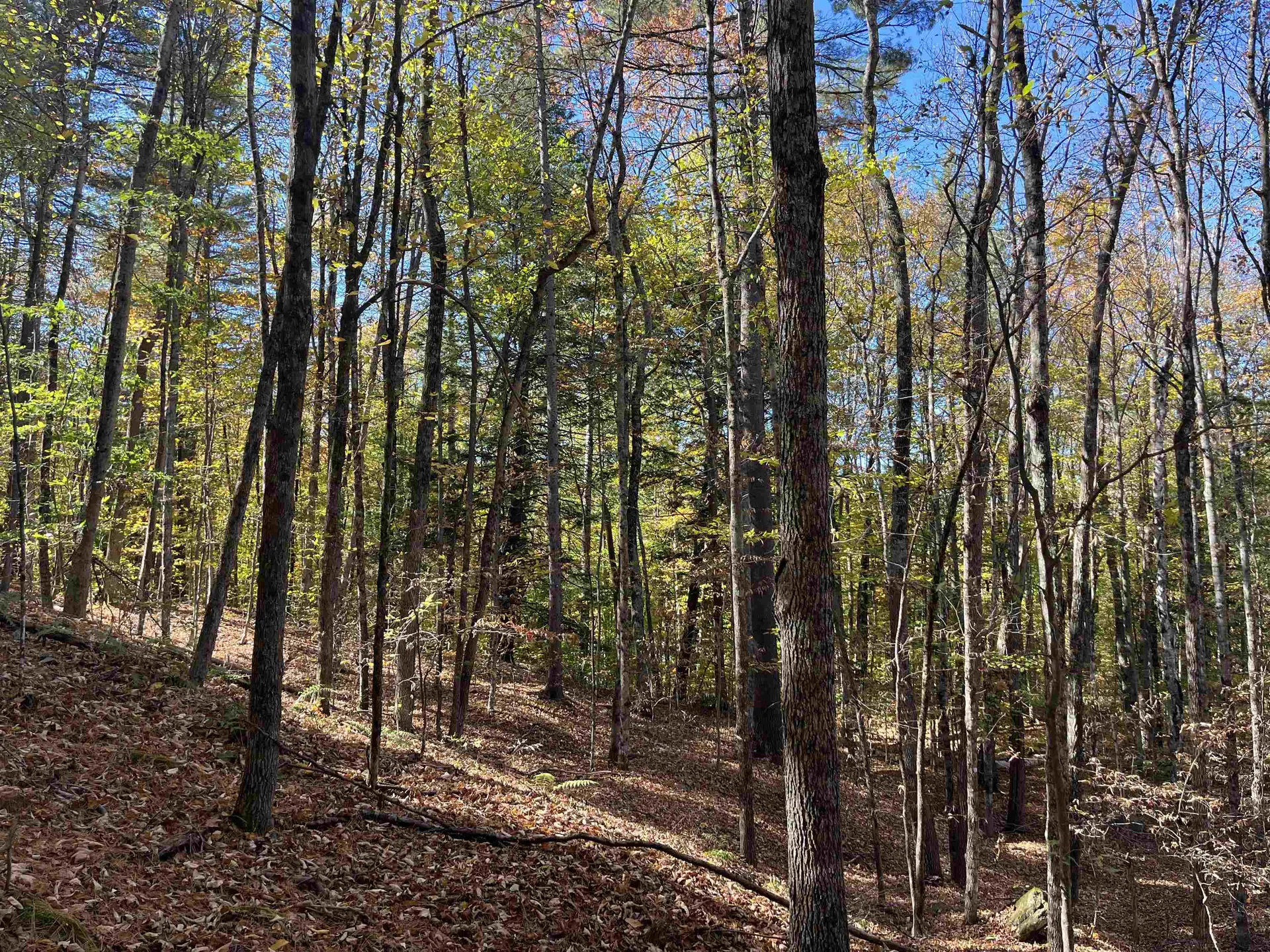 0 Leonard Road Pomfret VT 05067