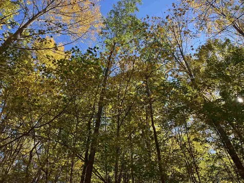 0 Leonard Road Pomfret VT 05067