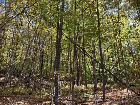 0 Leonard Road Pomfret VT 05067