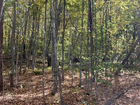 0 Leonard Road Pomfret VT 05067