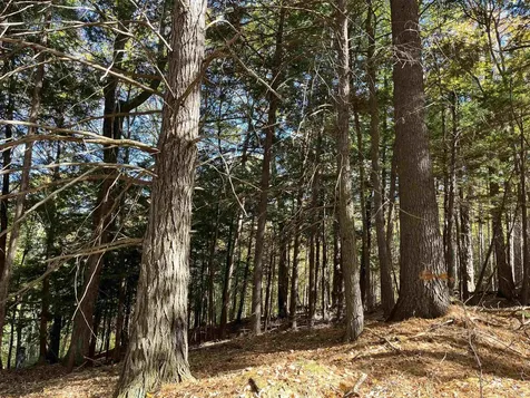 0 Leonard Road Pomfret VT 05067