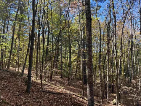 0 Leonard Road Pomfret VT 05067