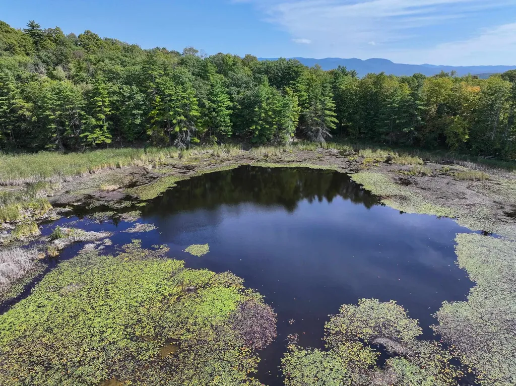 2395 Burr Pond Road Sudbury VT 05733