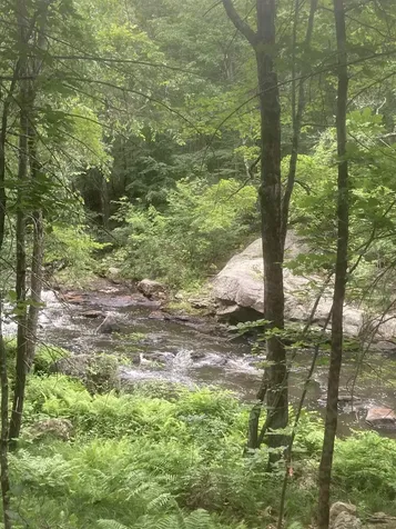 18 Birdie Grove Rochester NH 03839