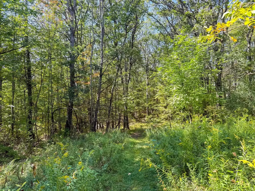 0 Dothan Road Hartford VT 05001