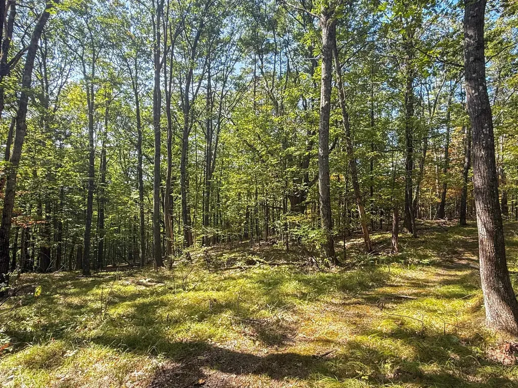 0 Dothan Road Hartford VT 05001