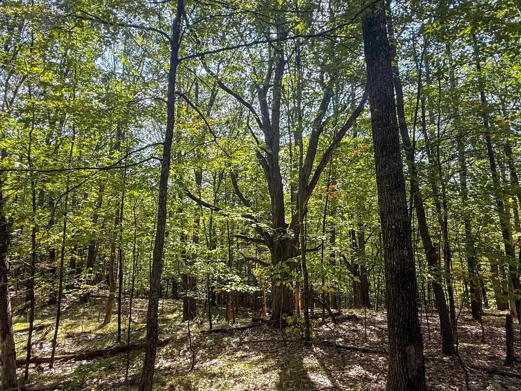 0 Dothan Road Hartford VT 05001