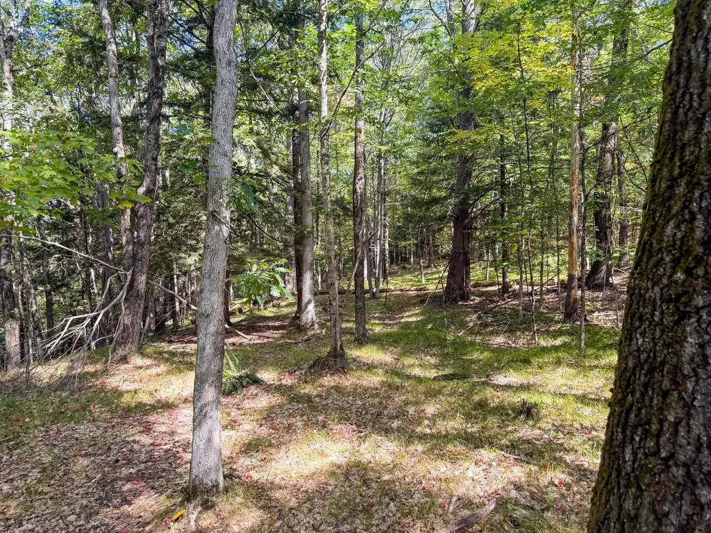 0 Dothan Road Hartford VT 05001