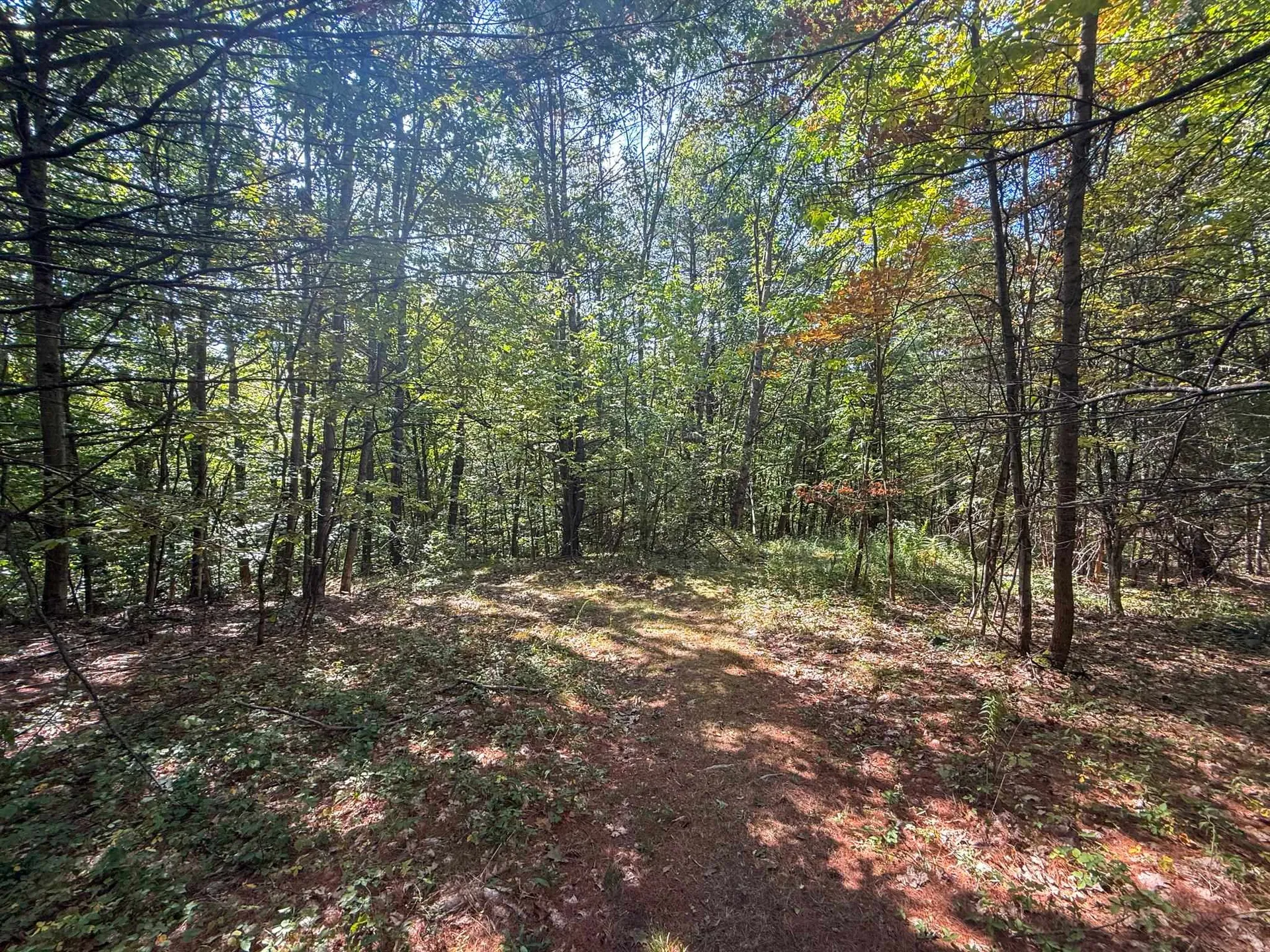 0 Dothan Road Hartford VT 05001