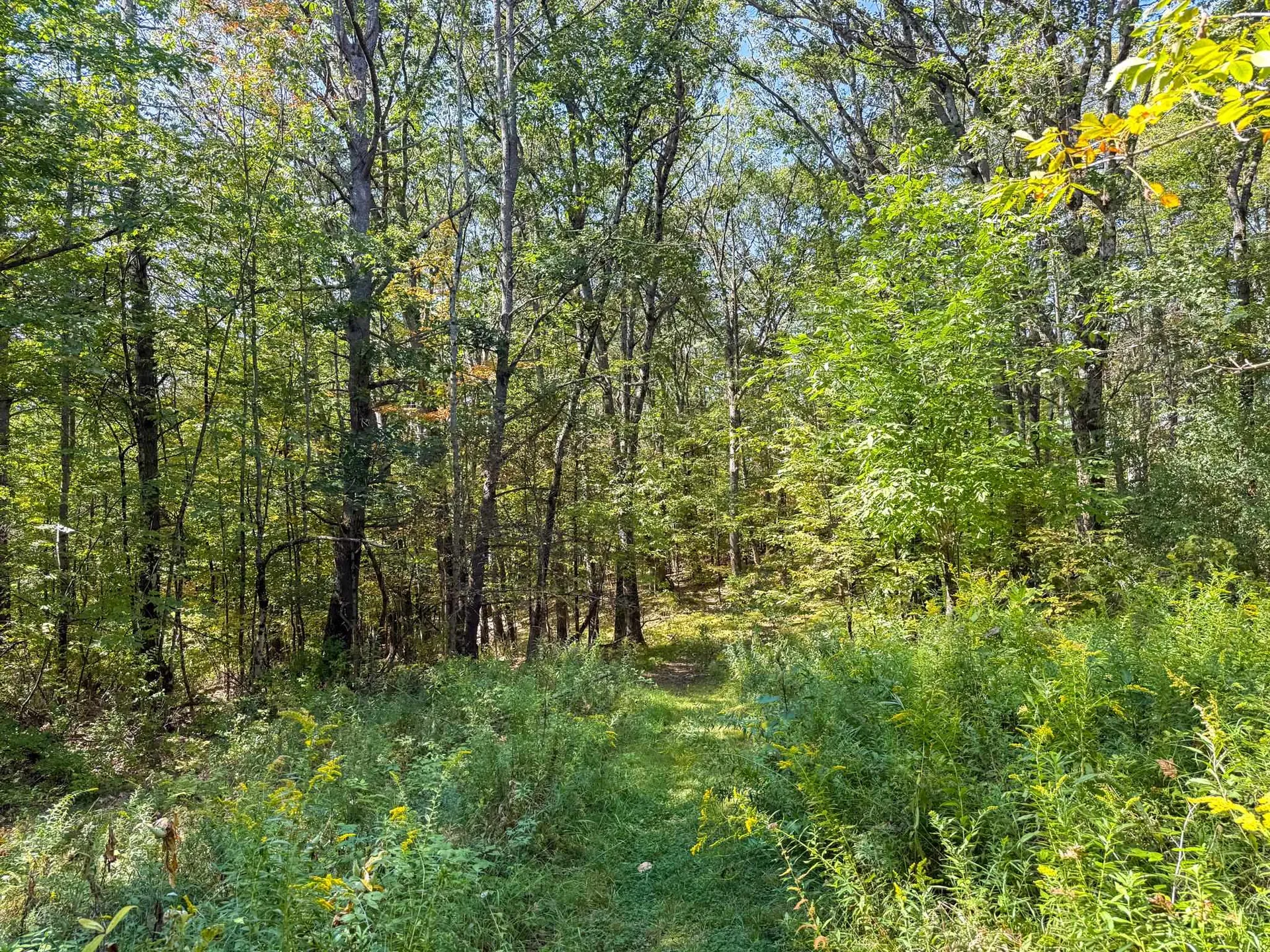 0 Dothan Road Hartford VT 05001