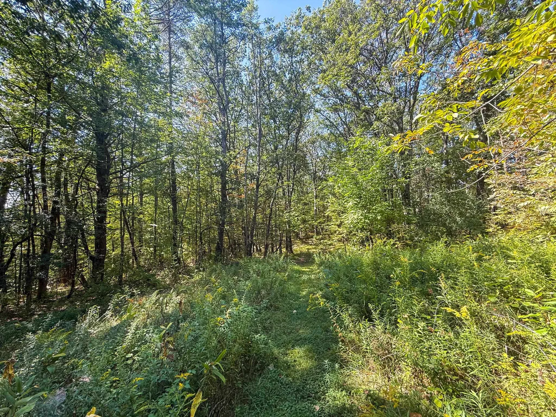 0 Dothan Road Hartford VT 05001