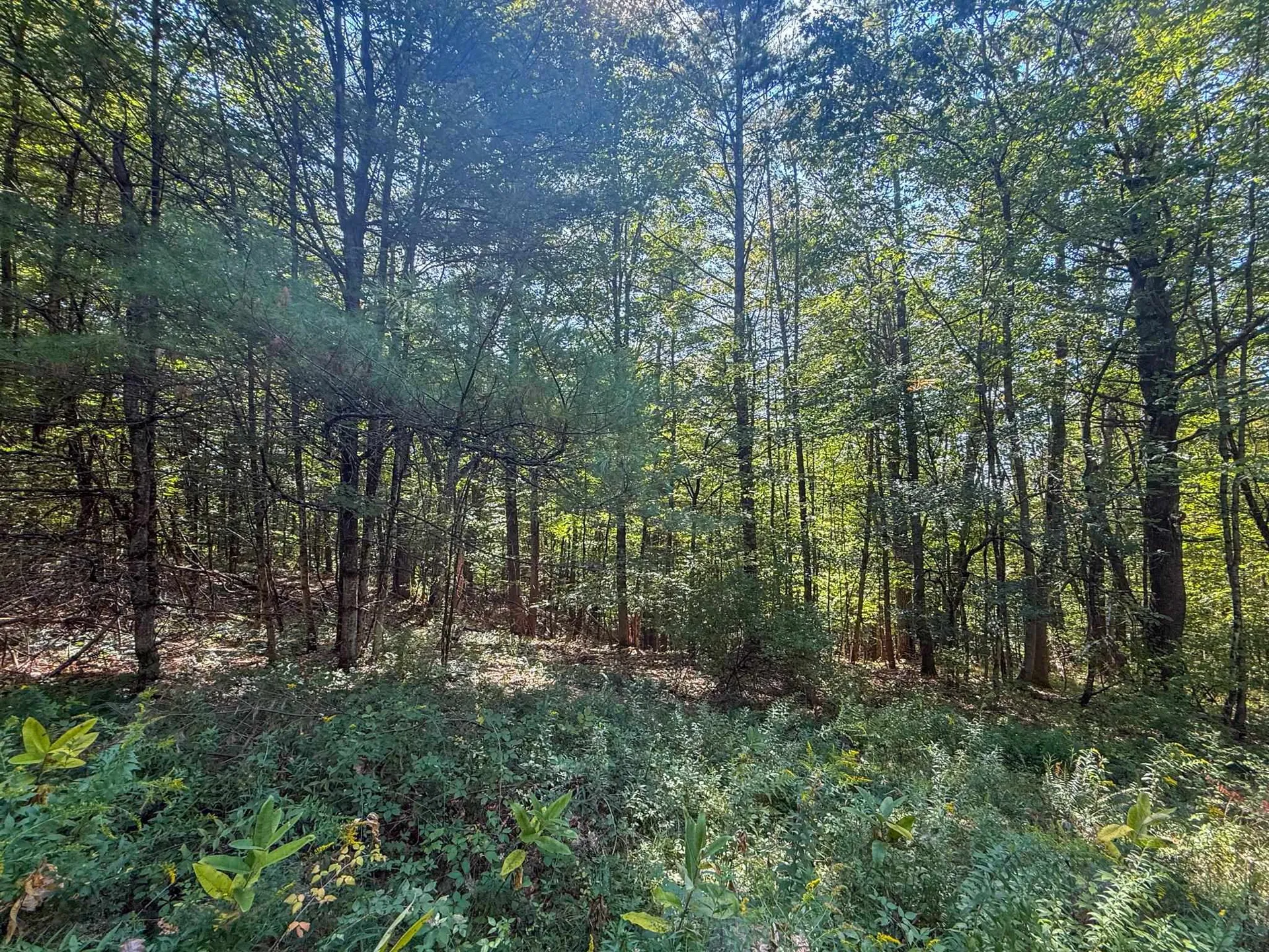 0 Dothan Road Hartford VT 05001