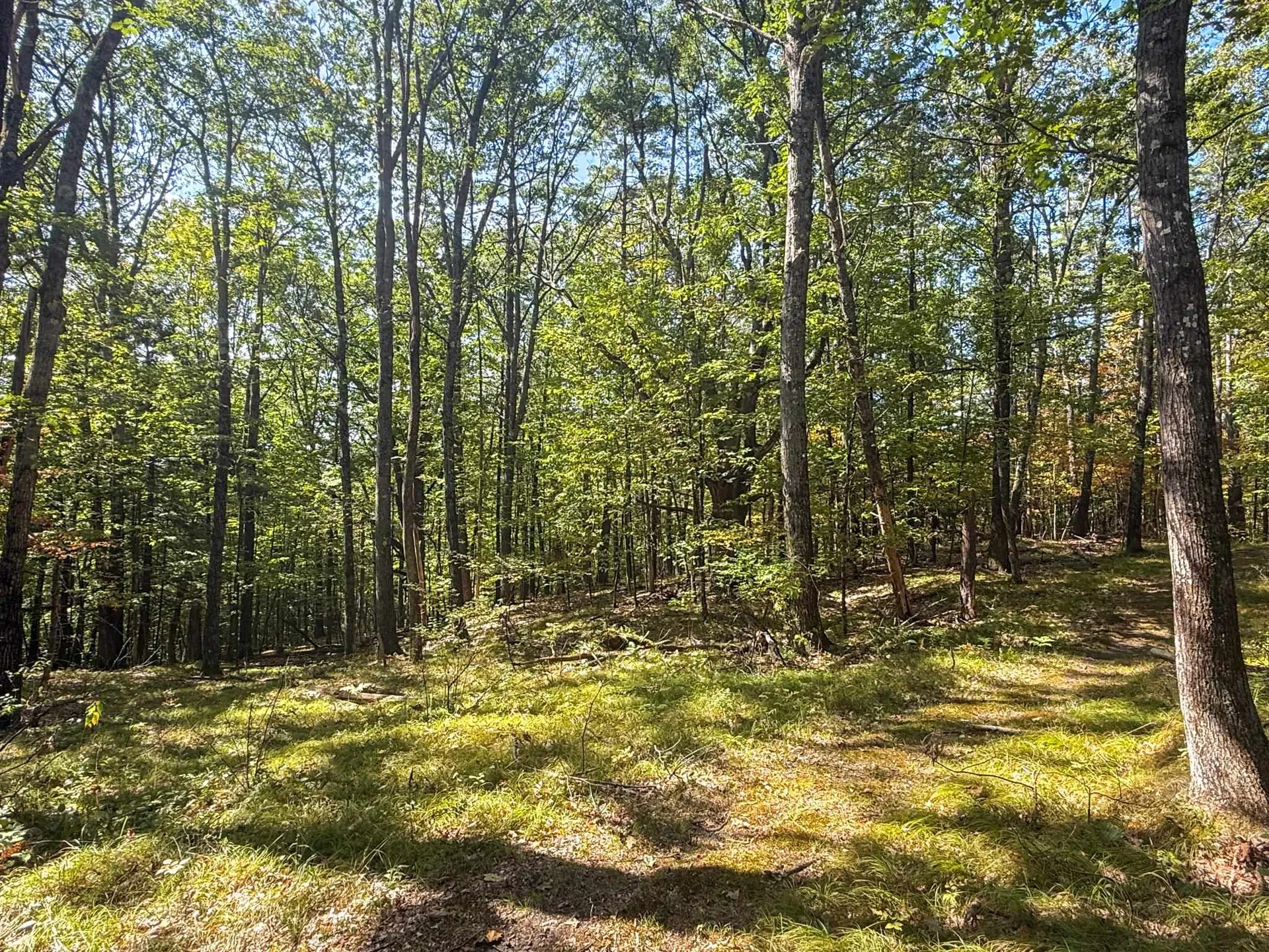 0 Dothan Road Hartford VT 05001