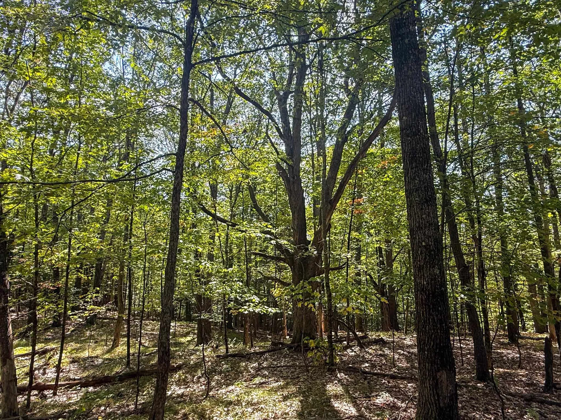 0 Dothan Road Hartford VT 05001