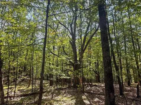 0 Dothan Road Hartford VT 05001