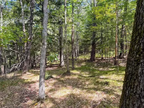 0 Dothan Road Hartford VT 05001