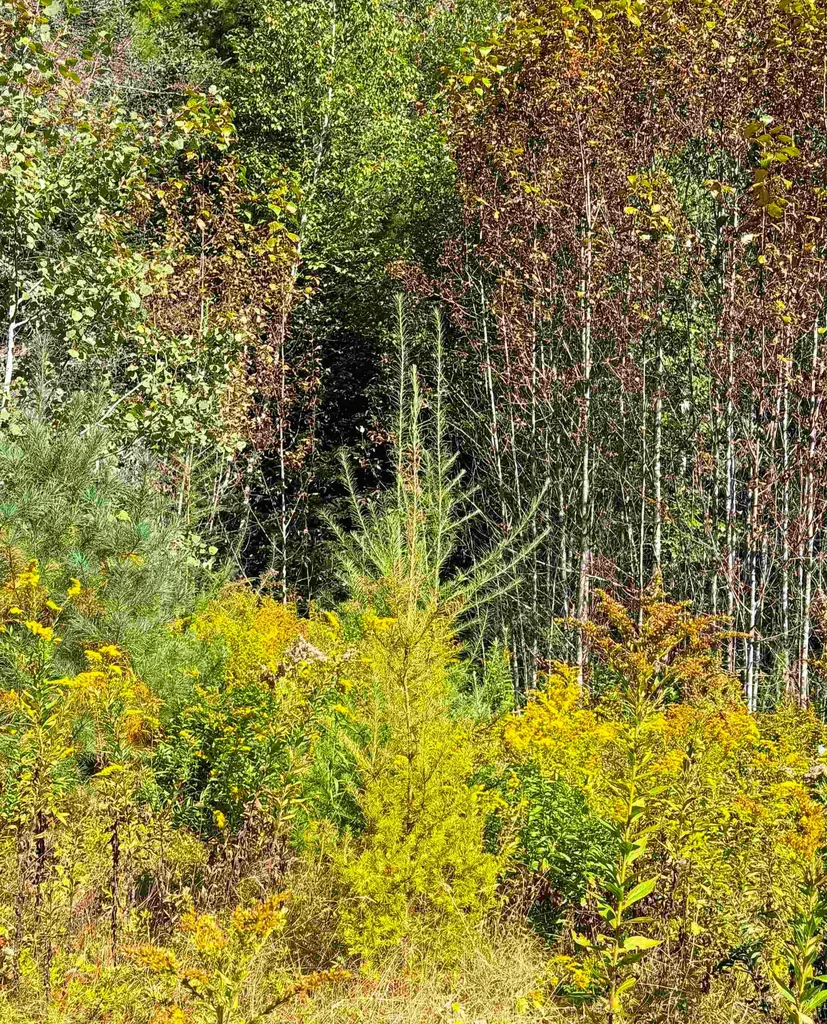 686 Wing Road Bethlehem NH 03574