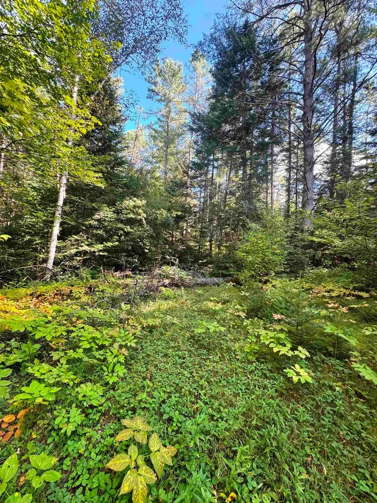 686 Wing Road Bethlehem NH 03574