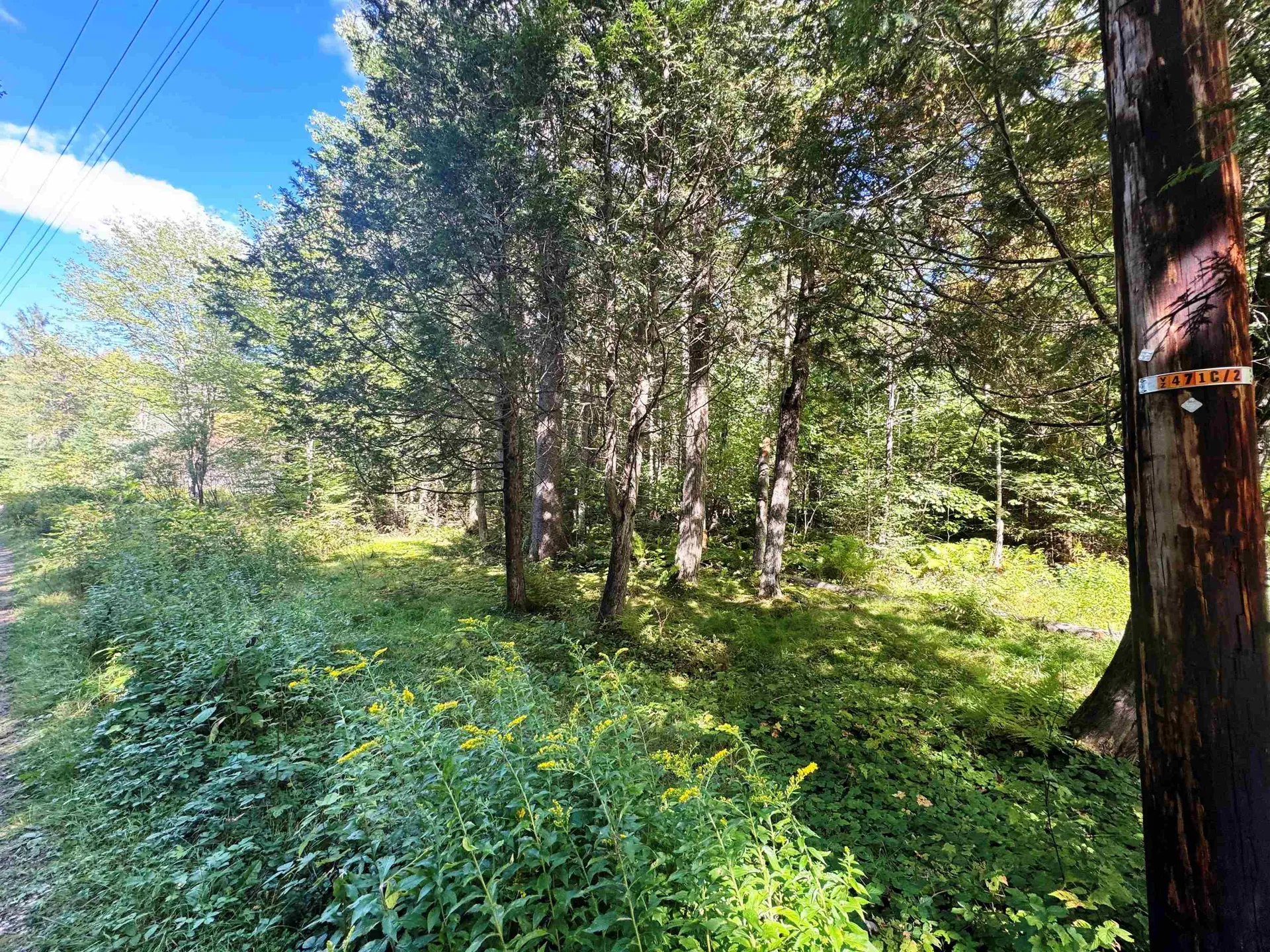 686 Wing Road Bethlehem NH 03574