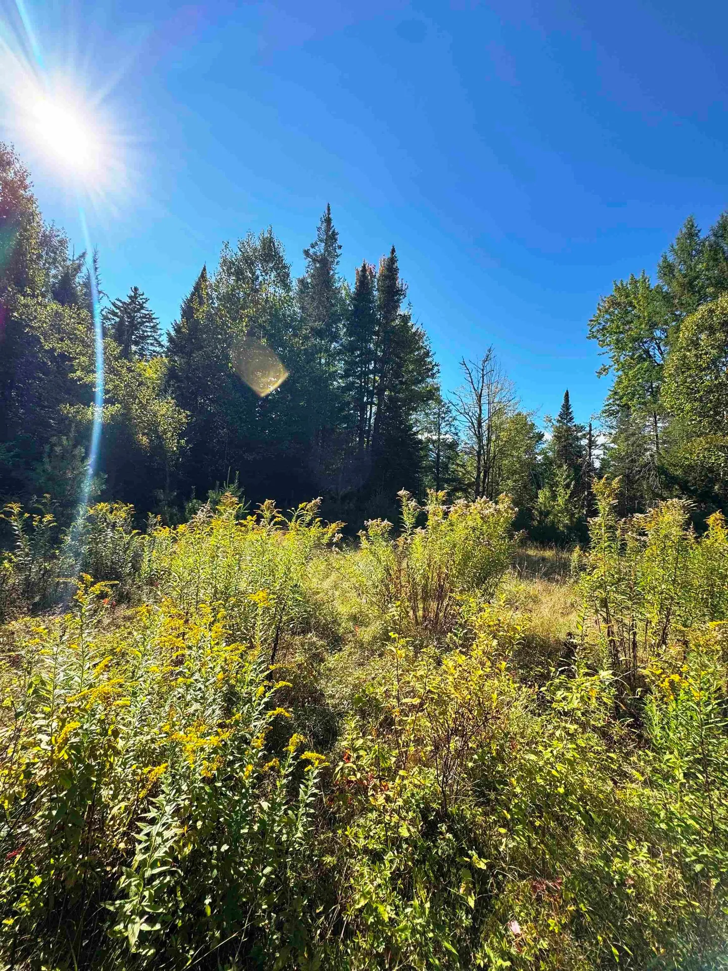 686 Wing Road Bethlehem NH 03574