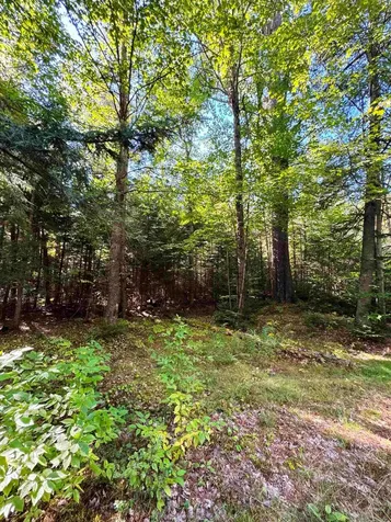 686 Wing Road Bethlehem NH 03574