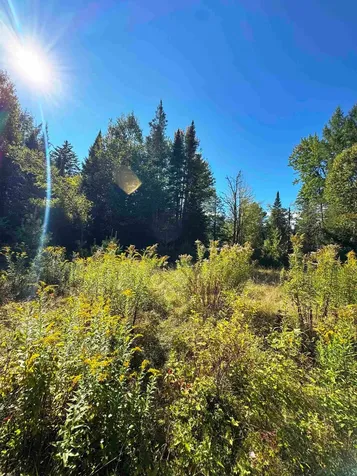 686 Wing Road Bethlehem NH 03574