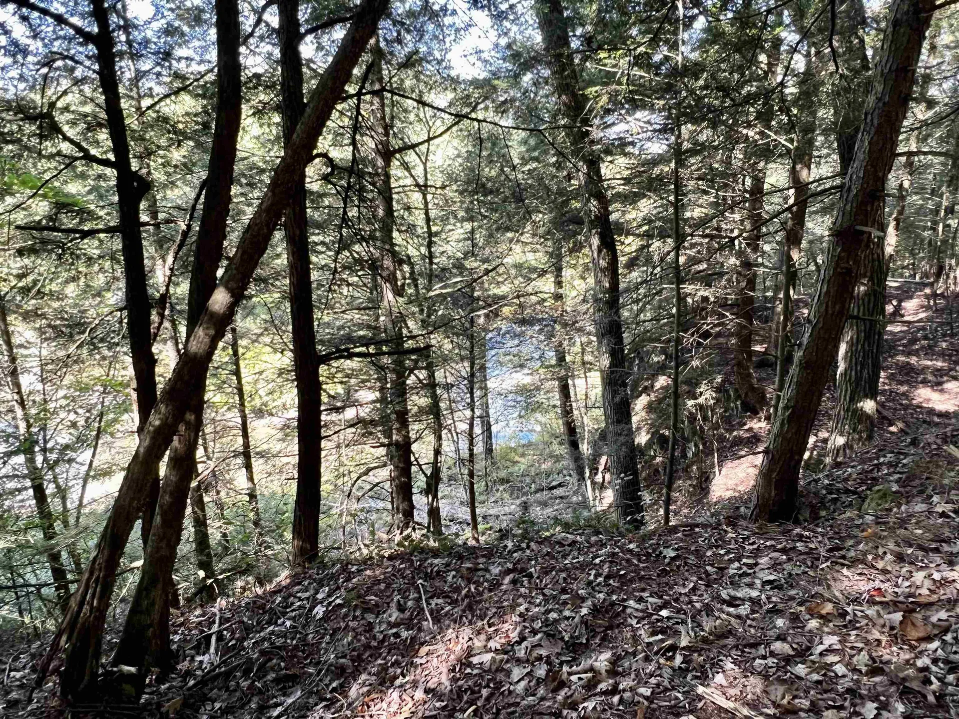 10 Castle Lane Westford VT 05494