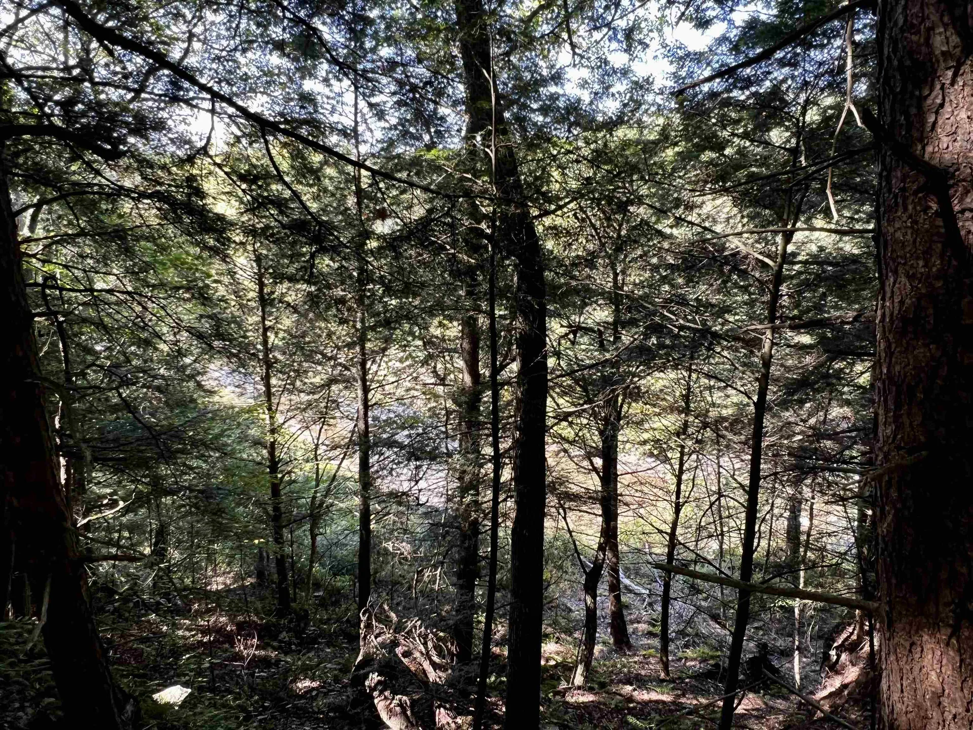 10 Castle Lane Westford VT 05494