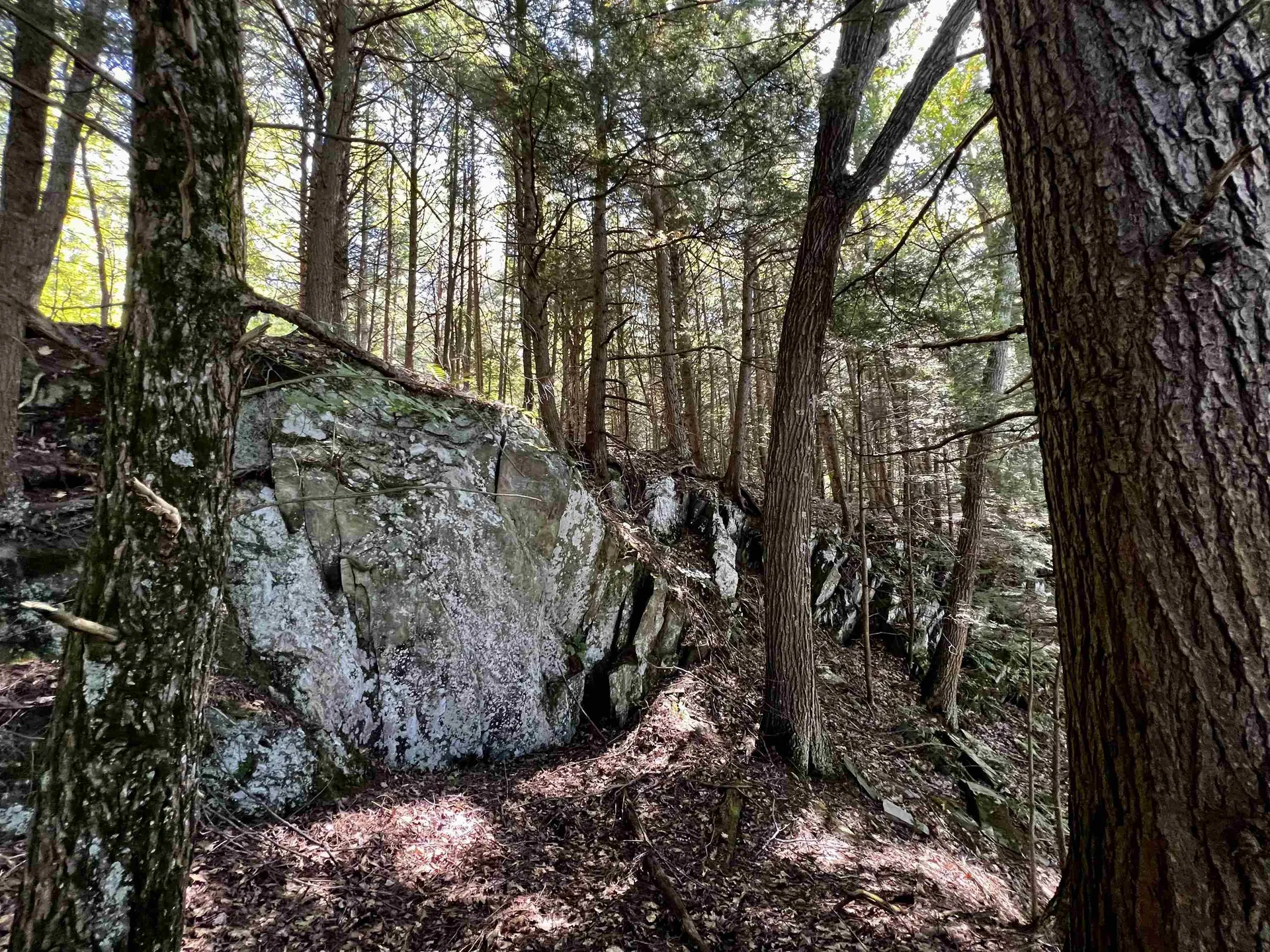 10 Castle Lane Westford VT 05494