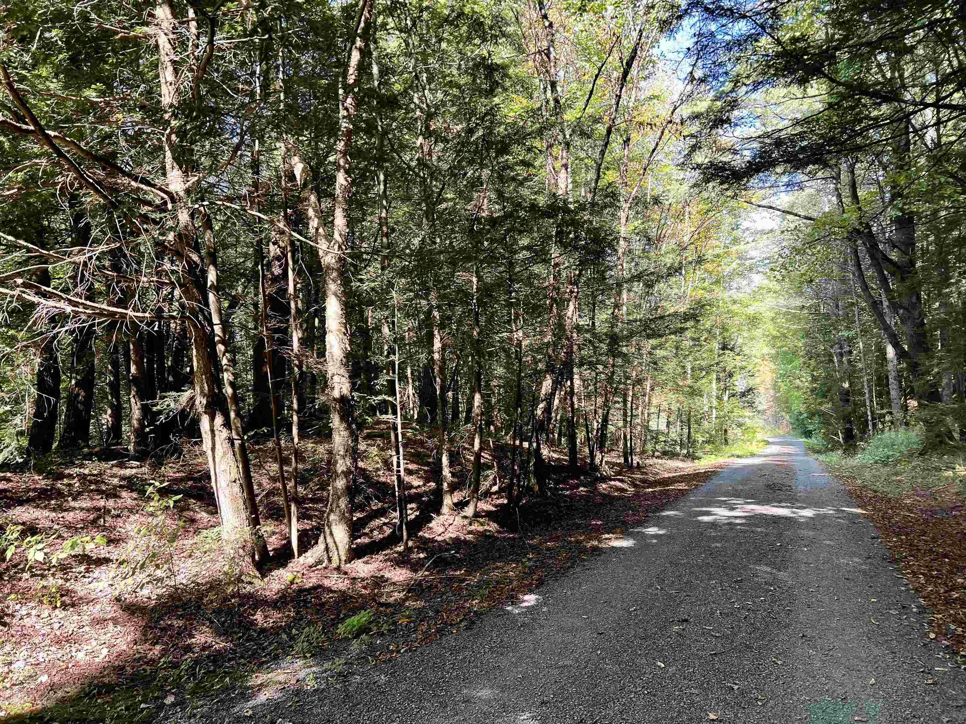 10 Castle Lane Westford VT 05494