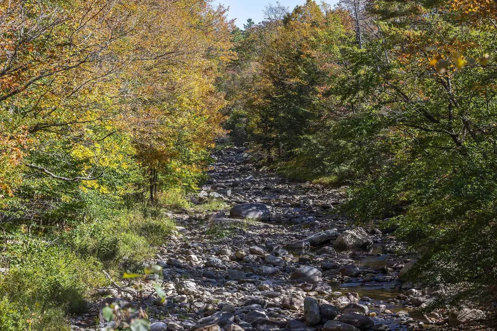 124 Barlow Road Mount Holly VT 05758