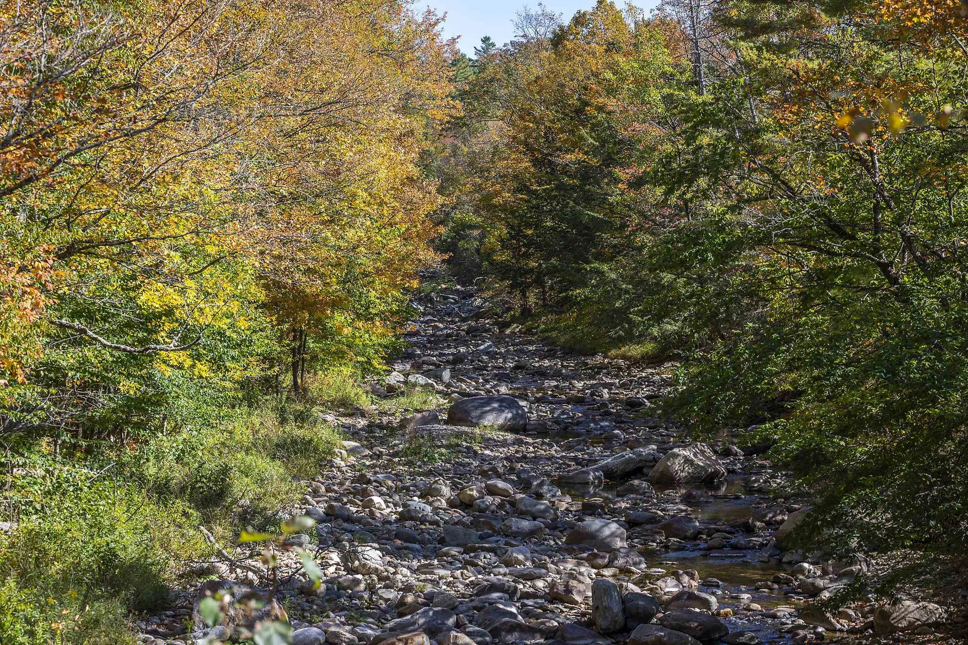 124 Barlow Road Mount Holly VT 05758