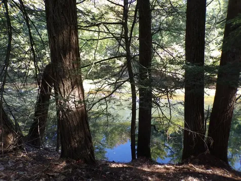 905 Old Westport Road Winchester NH 03470