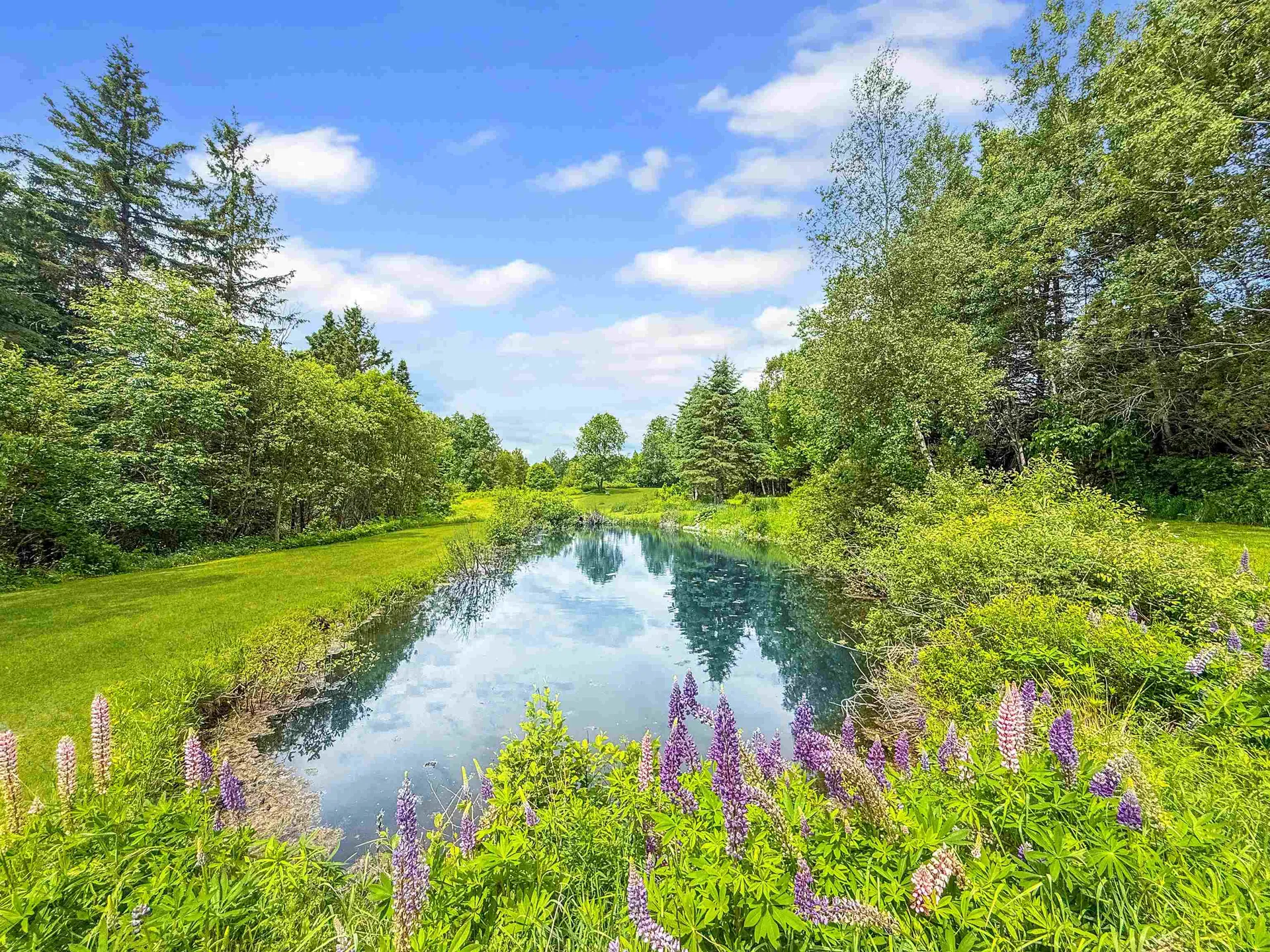 126 Gray Road Columbia NH 03576