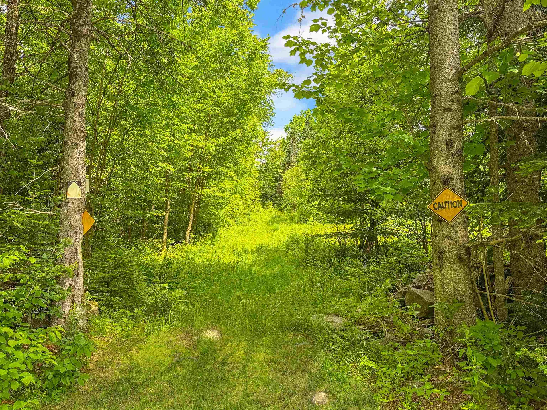 126 Gray Road Columbia NH 03576
