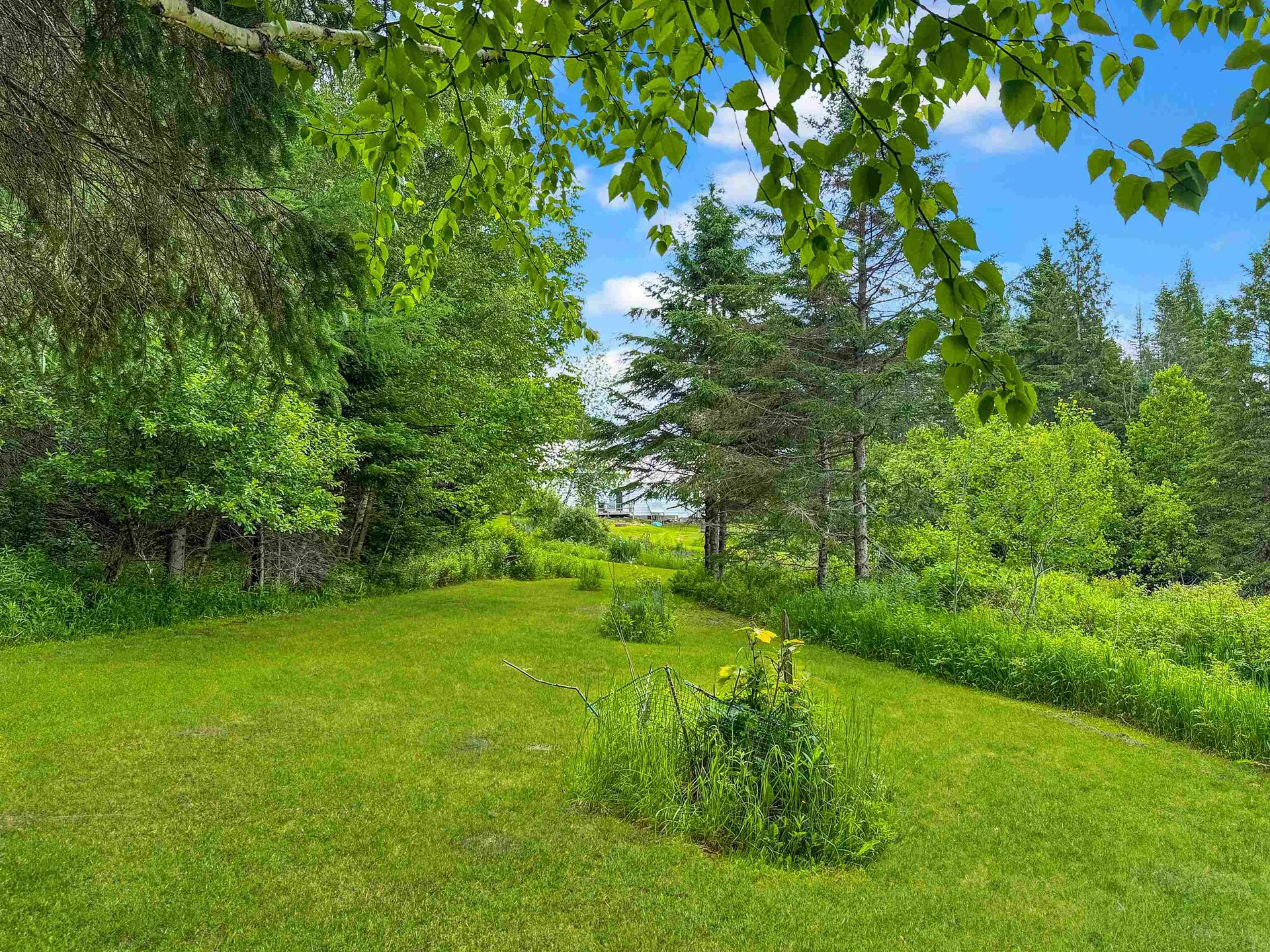 126 Gray Road Columbia NH 03576