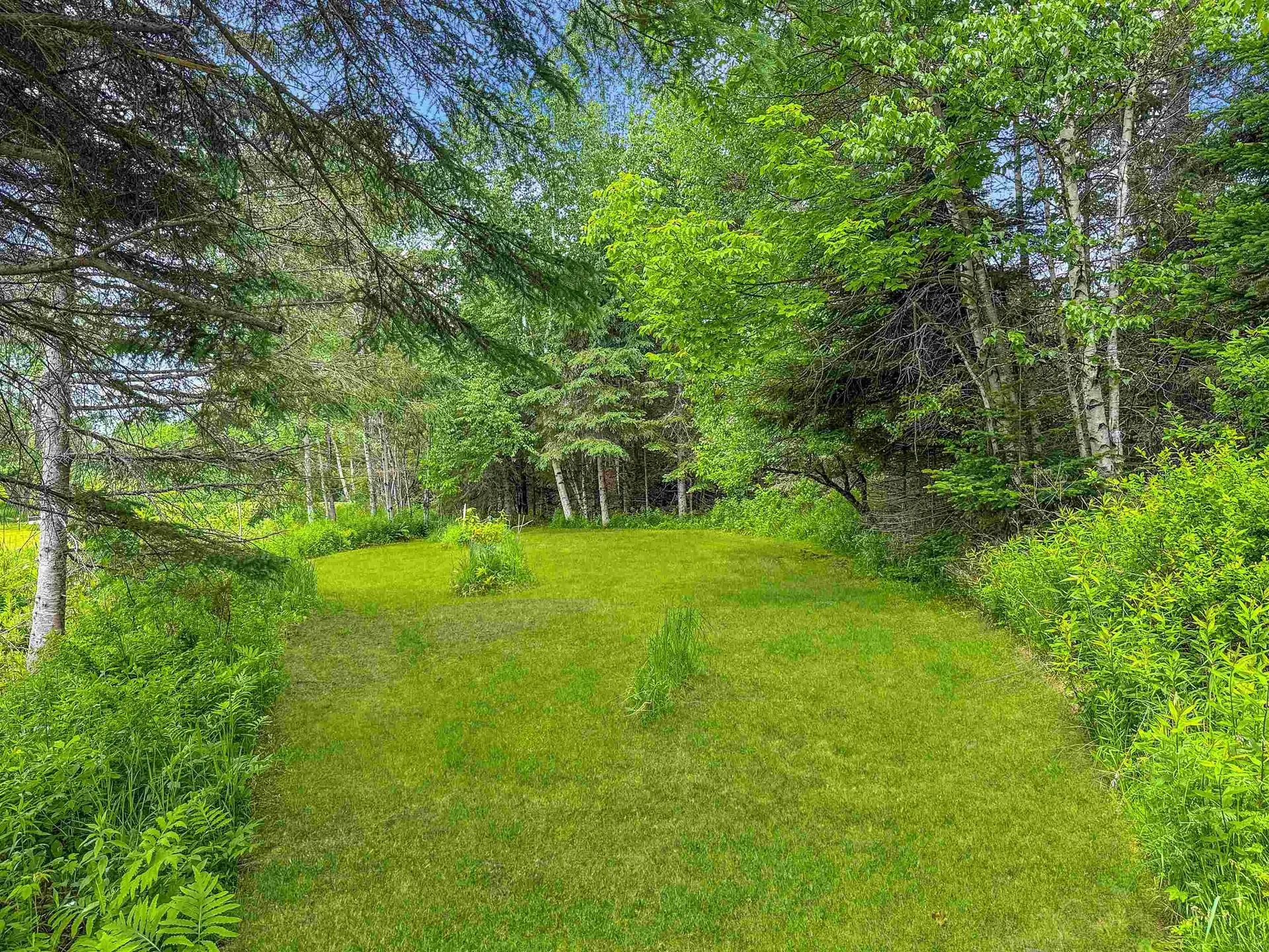 126 Gray Road Columbia NH 03576